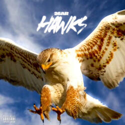 Hawks
