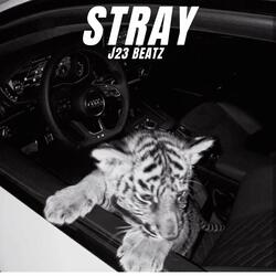 STRAY