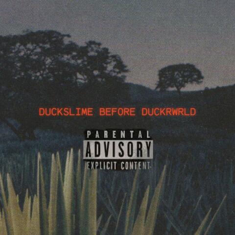 DUCKSLIME BEFORE DUCKWRLD