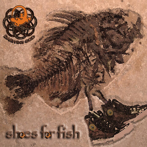 Shoes For Fish