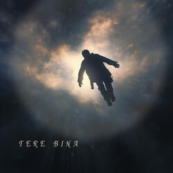 TERE BINA