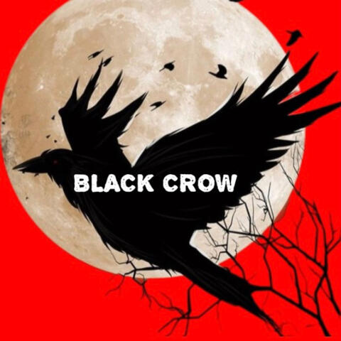 BLACK CROW "ITACHI"