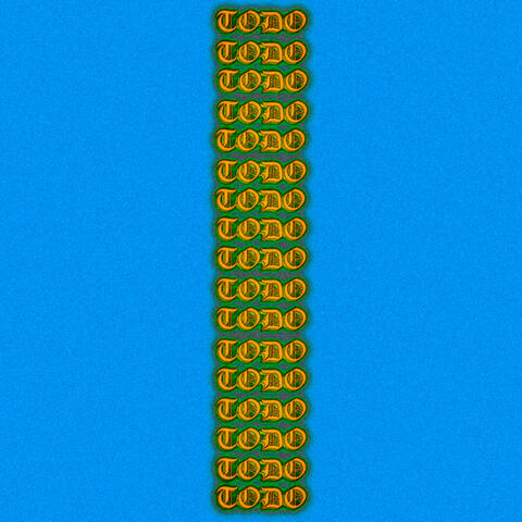 Todo