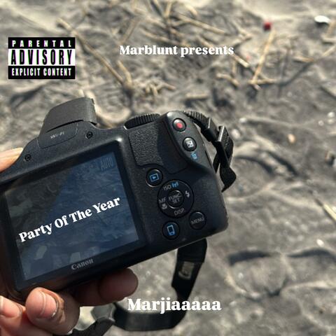 Party Of The Year