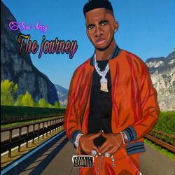 The journey