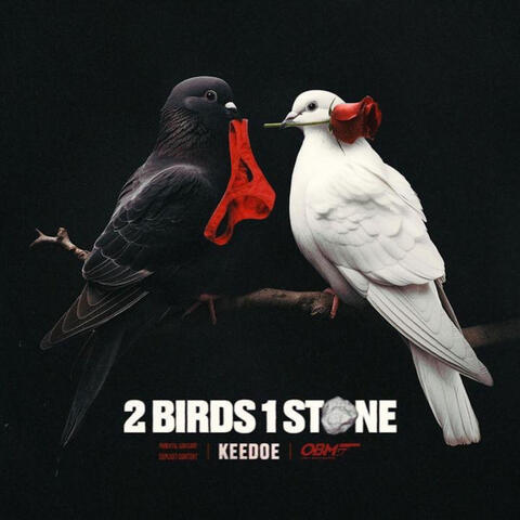 2 Birds 1 Stone