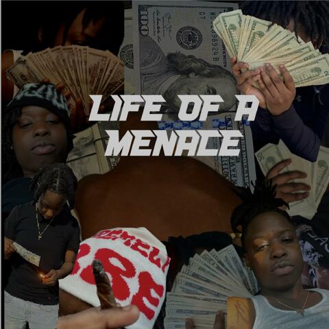 Life Of A Menace