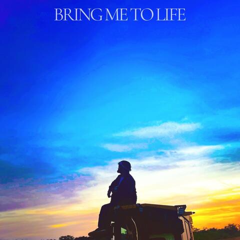 BRING ME TO LIFE
