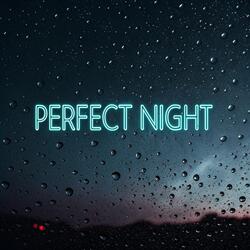 Perfect Night