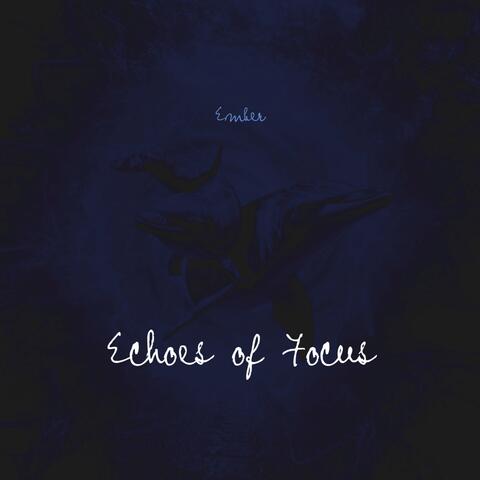 Echoes of Focus