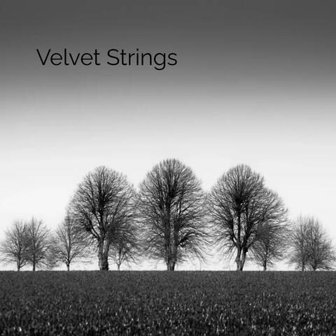 Velvet Strings