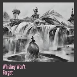 Whiskey Won't Forget