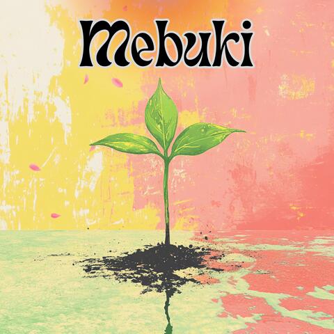 Mebuki