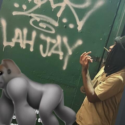 Freestyle