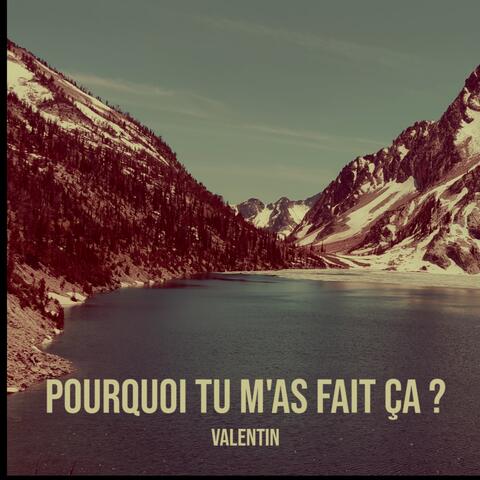 pourquoi tu m'as fait ça ?