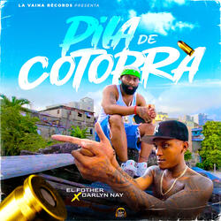 Pila De Cotorra