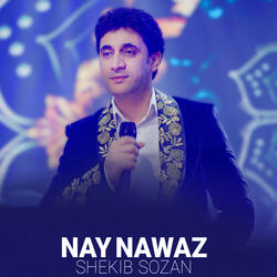 Nay Nawaz