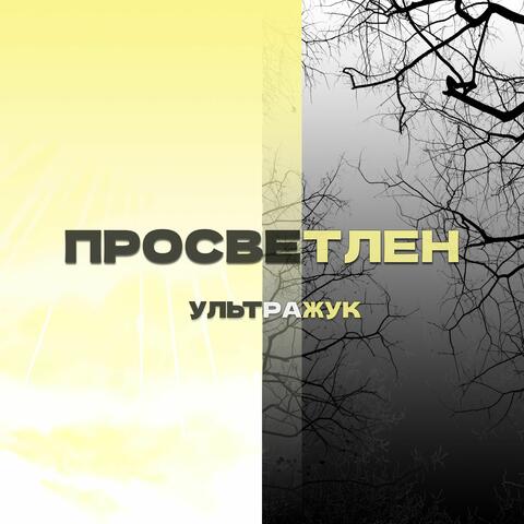 ПросвеТлен