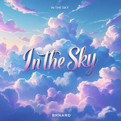 IN THE SKY