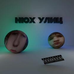 нюх улиц