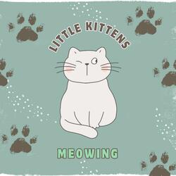 Little Kittens Meowing
