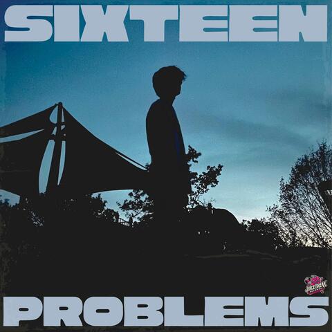 Sixteen Problems