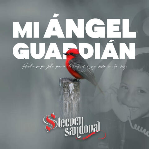 Mi Ángel Guardián