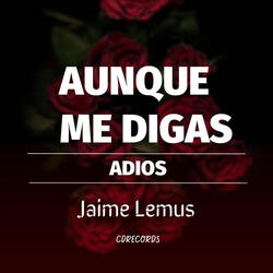 Aunque me digas adiós