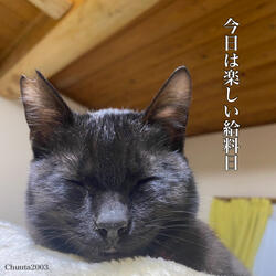 Today Is a Fun Payday