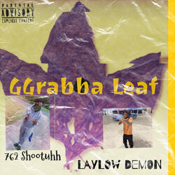 GGrabba Leaf