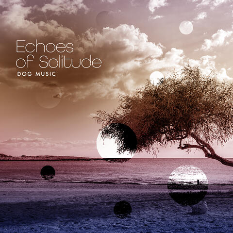 Echoes of Solitude