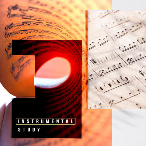 Instrumental Study