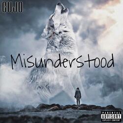 Misunderstood