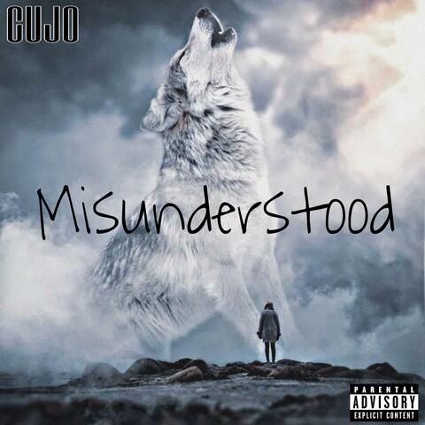 Misunderstood