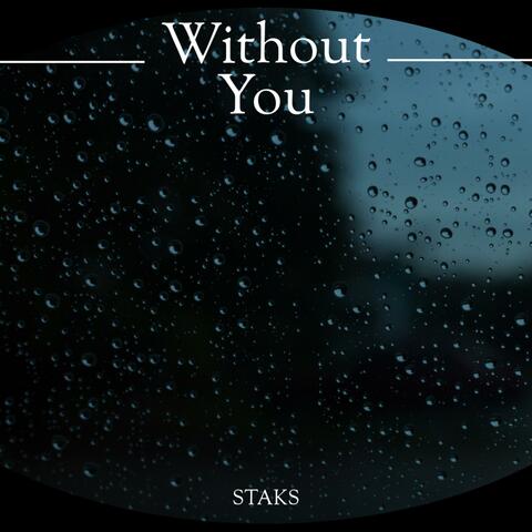 Without You