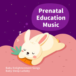 Chopin: Nocturnes, Op. 9, No. 2 (Fetal Sound to Sleep)