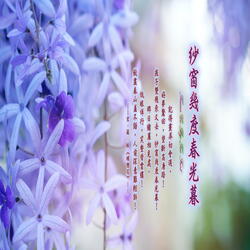 纔有梅花便不同 (加長版)