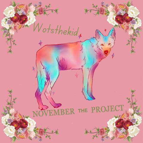The November Project