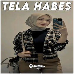 DJ Tela Habes