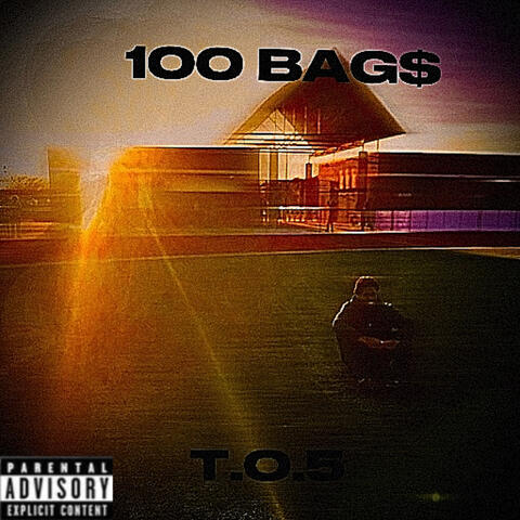 100 BAGS