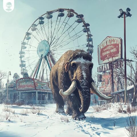 Amusement Park