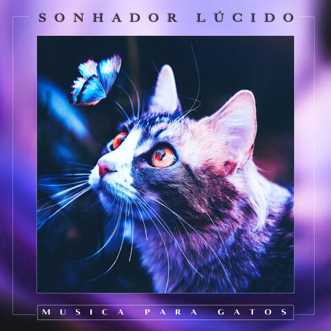 Sonhador Lúcido