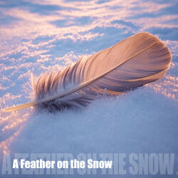 A Feather on the Snow