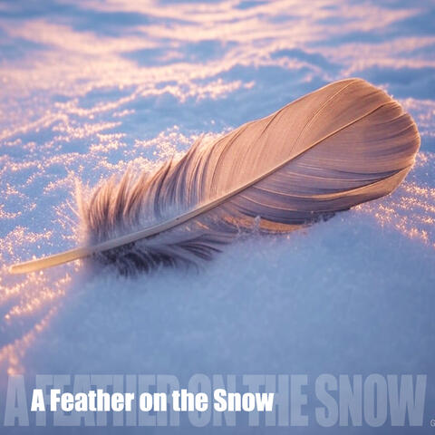 A Feather on the Snow