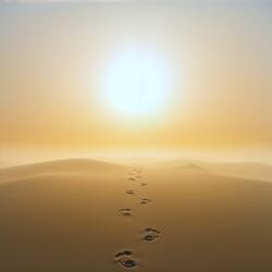 Journey of the heart