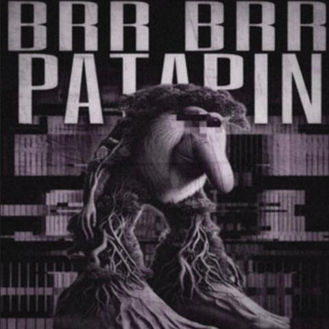 BRR BRR PATAPIN