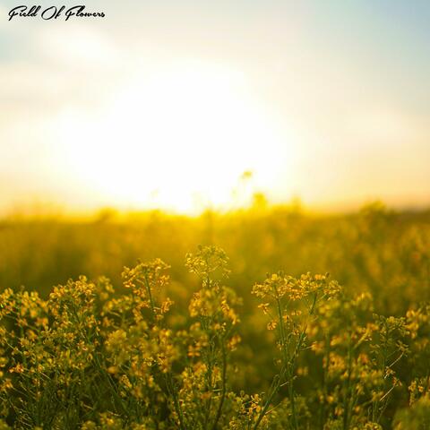 Field Of Flowers