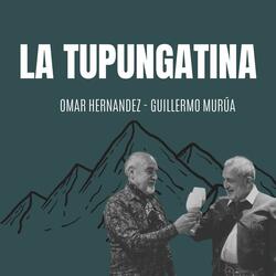 La tupungatina