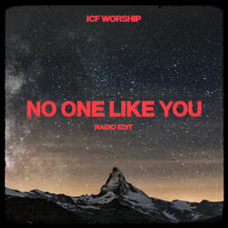 No One Like You