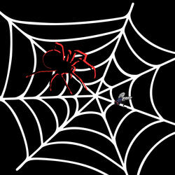 O filho da mosca e a dona aranha